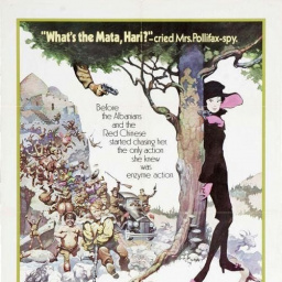 Movies to Watch If You Like Mrs. Pollifax-spy (1971)